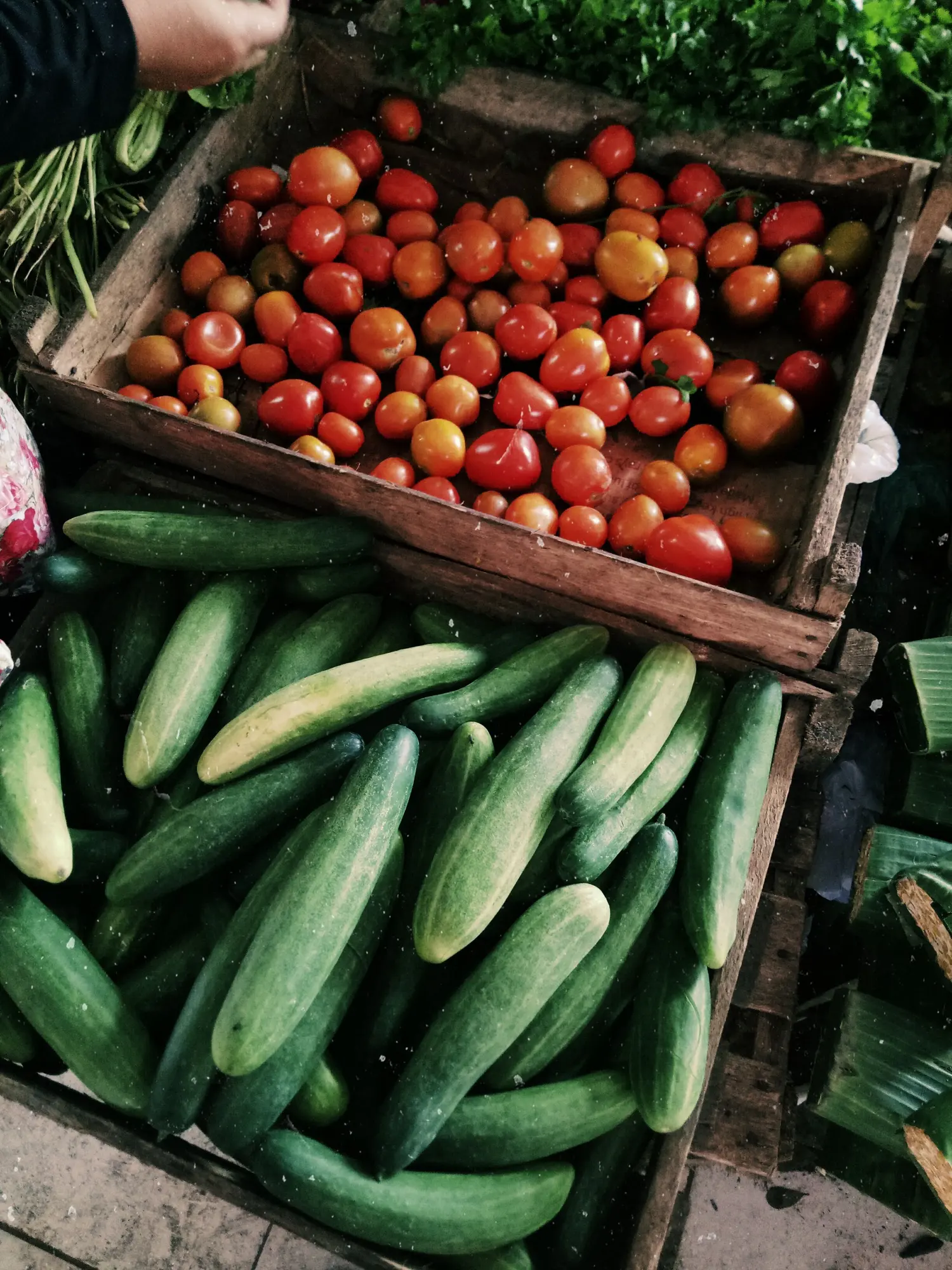 Tomates et concombres frais en cagettes